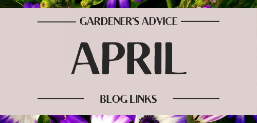 April Blogs