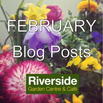 February Blog Posts