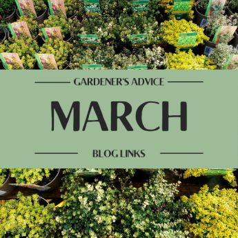 March Blogs