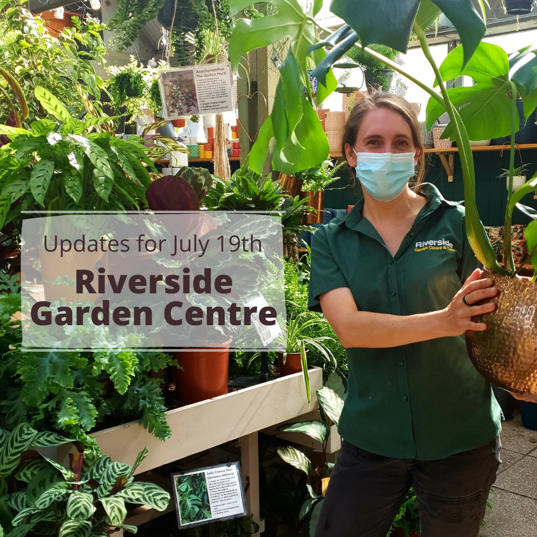 Riverside Garden Centre from 19 July 2021