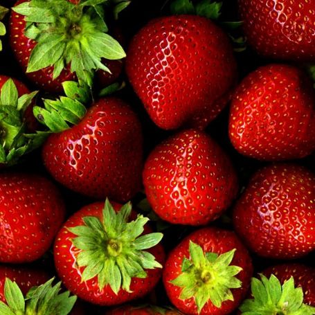 Strawberry 'Cambridge Favourite' main image