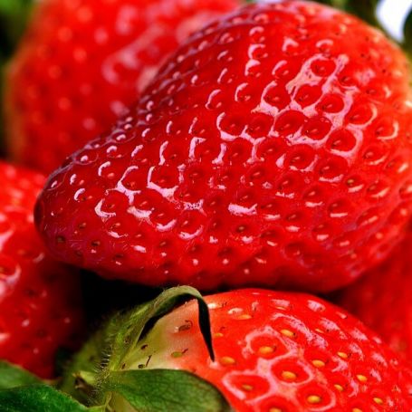 Strawberry 'Elsanta' main image