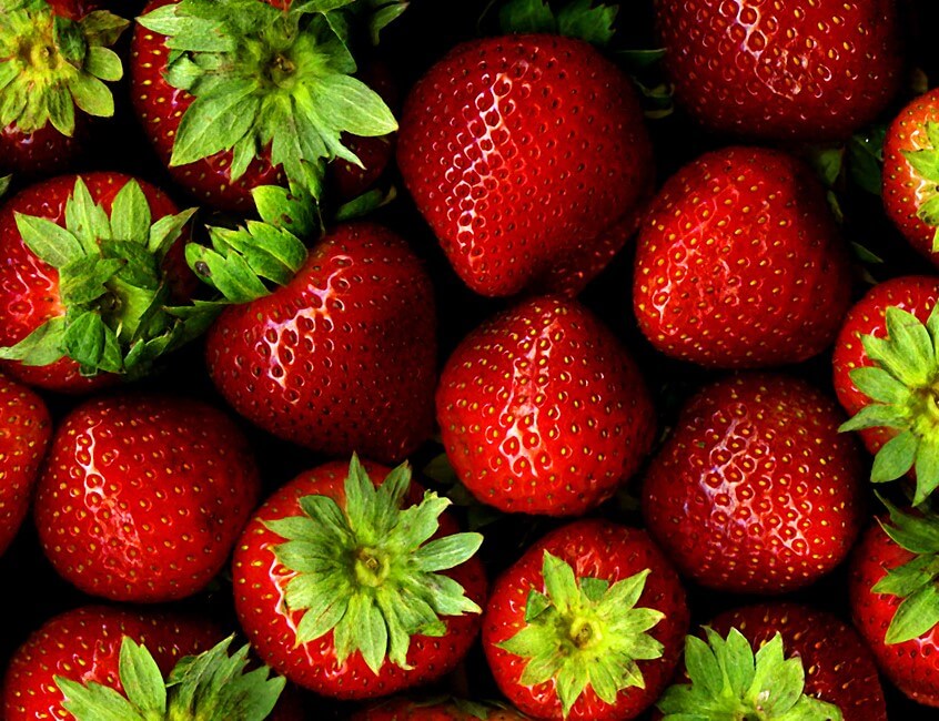 Strawberry 'Cambridge Favourite' 993