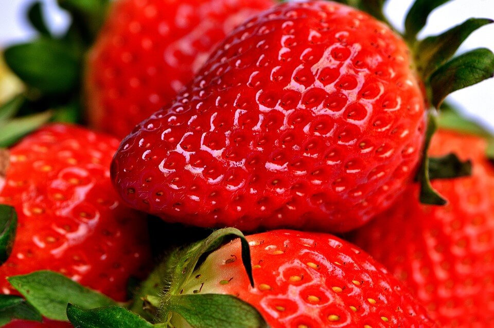 Strawberry 'Elsanta' 993