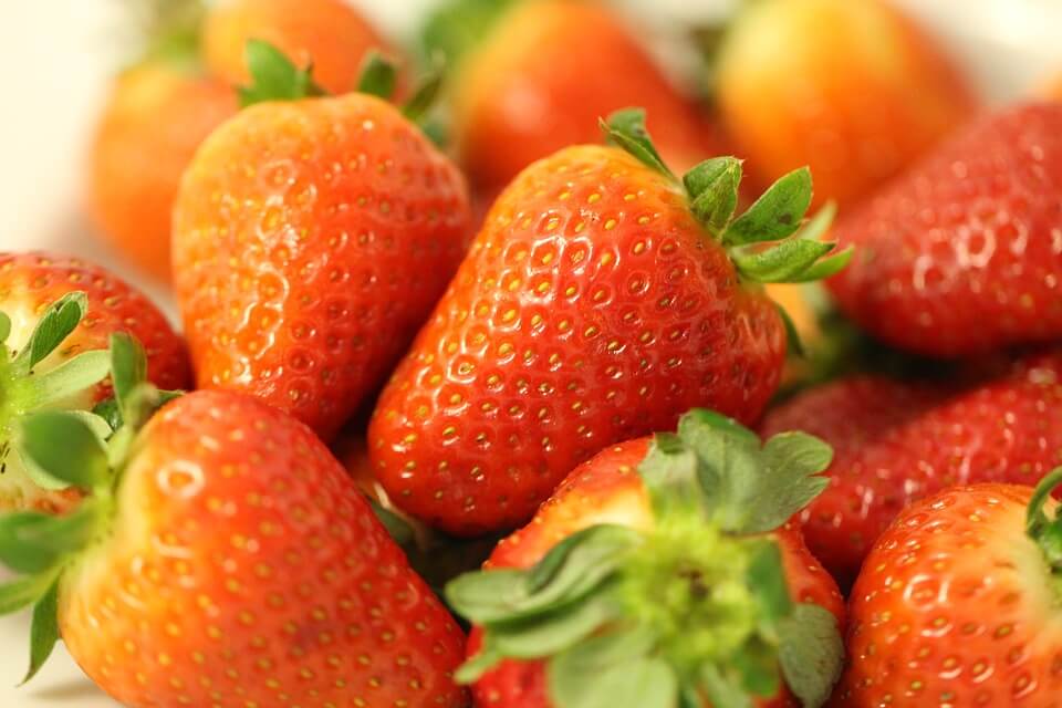 Strawberry 'Hapil' 993