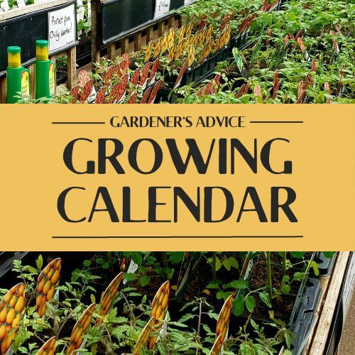 growing calendar