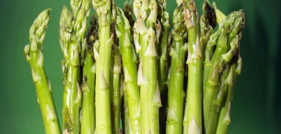 Asparagus – Queen of Vegetables  