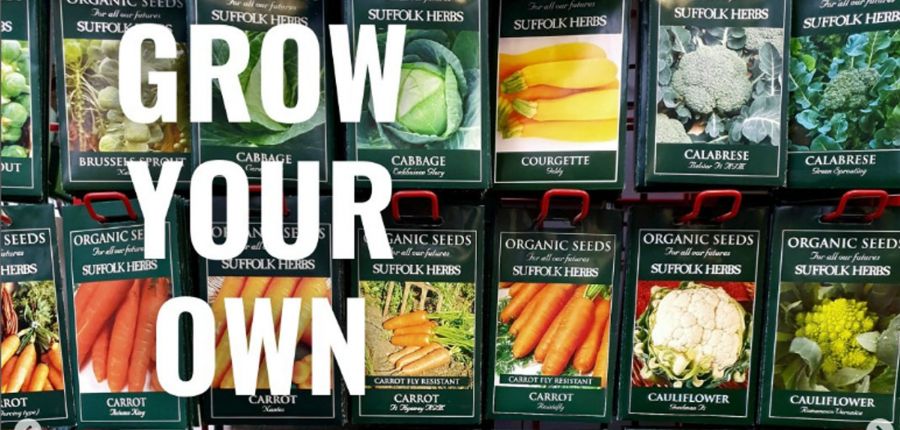 Planning ahead – veg seeds for the coming season