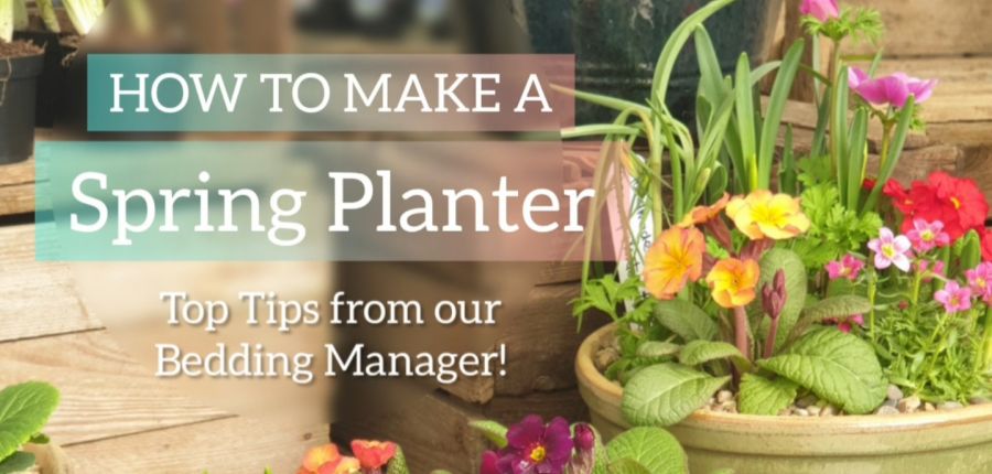 How to Make a Planter