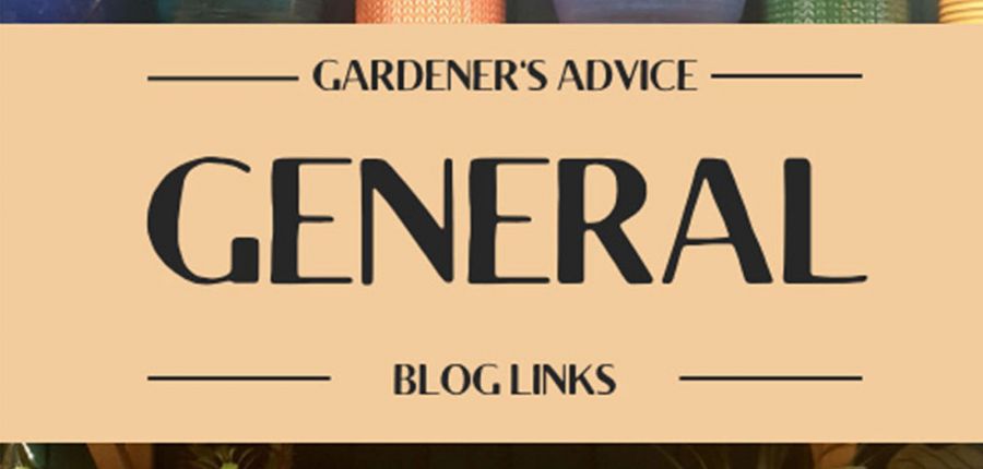 General Blog Links