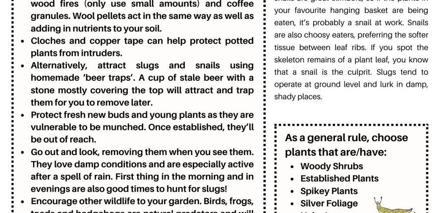 Slug & Snail Resistant Plants