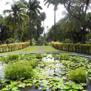 Botanical Gardens, St Vincent and the Grenadines