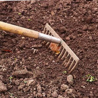 Preparing soil for sowing
