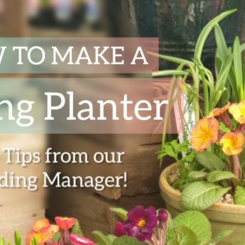 How to Make a Planter