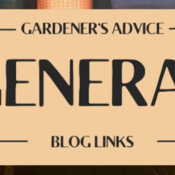General Blog Links