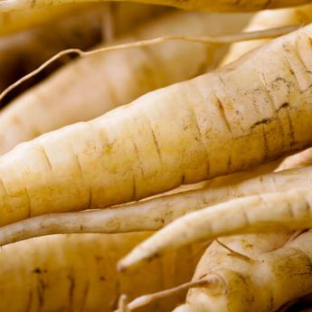 Perfect Parsnips 