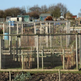 How to deal with pests