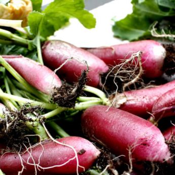 Grow your own salad tea