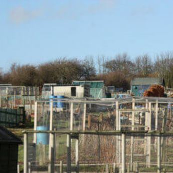 The ‘veg patch’ in June