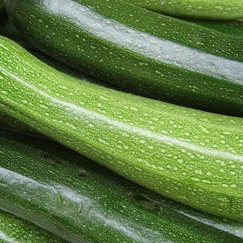 Time to start harvesting!