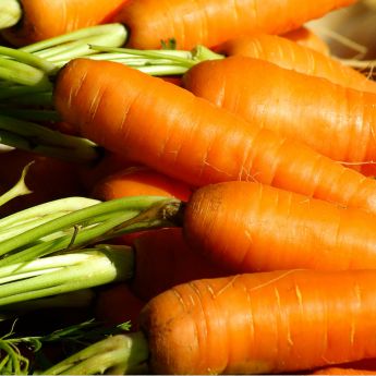 Protect your beautiful carrots