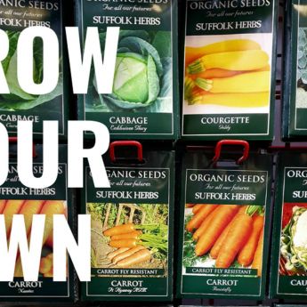 This season’s vegetables - first sowings