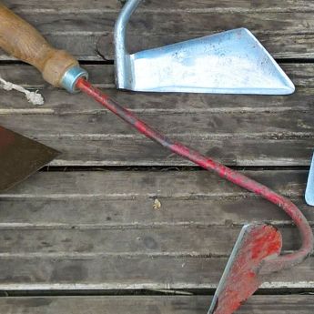 Keep that hoe moving! - Weed Control