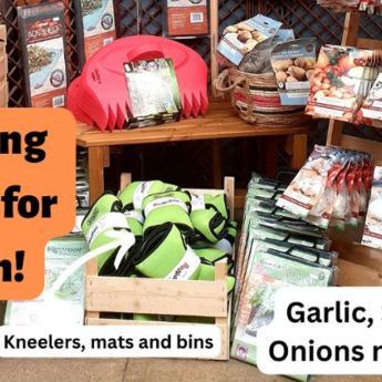 Looking back - planning ahead on your allotment