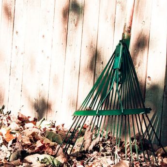 Raking, dead-heading and plant protection