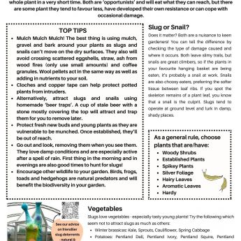 Slug & Snail Resistant Plants