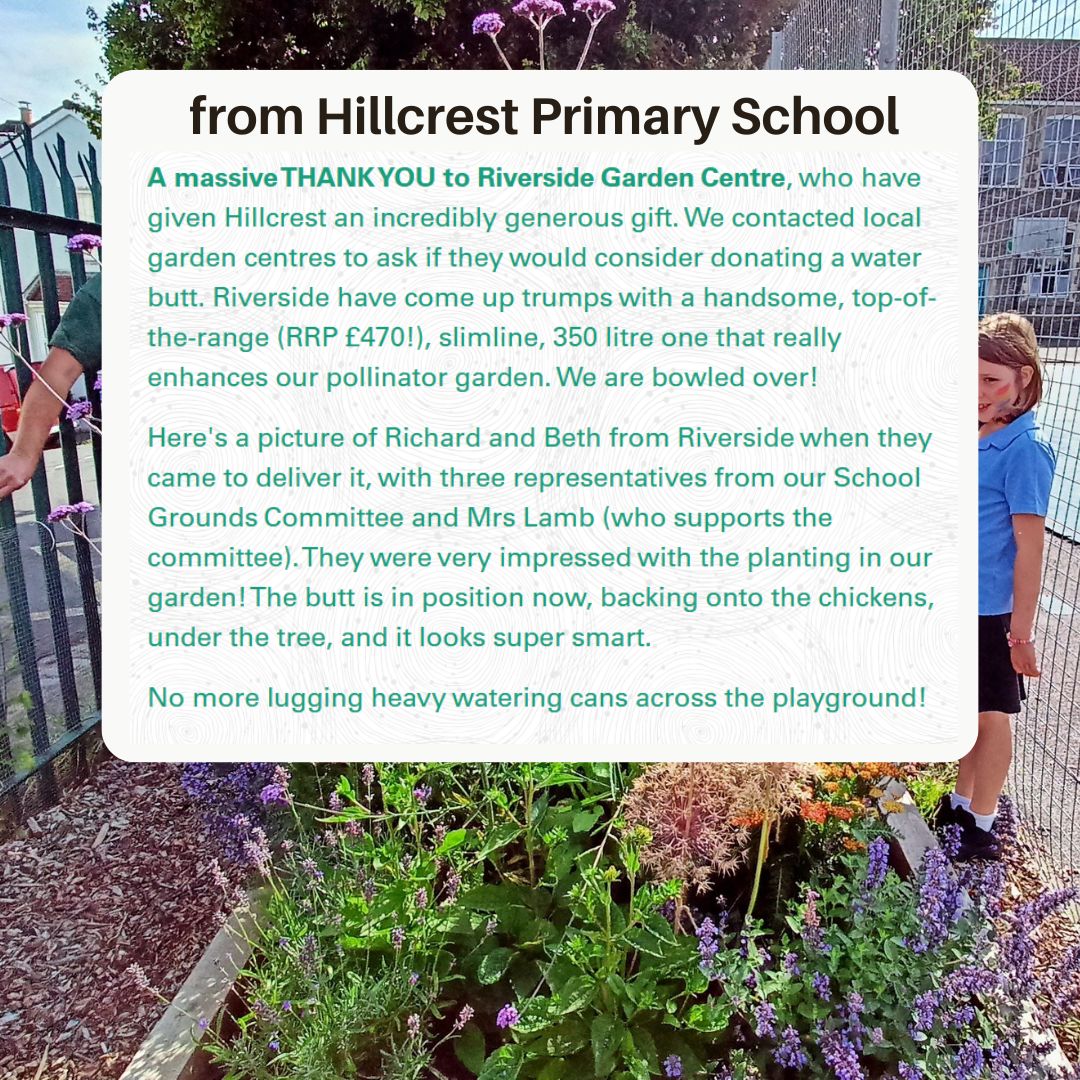 A quote from Hillcrest Primary School