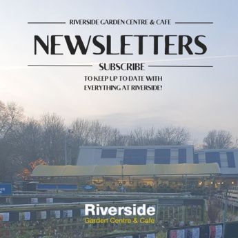 Riverside Newsletters