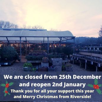 Christmas Opening Hours