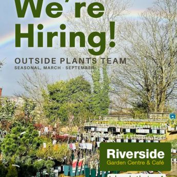 Vacancy January 2026