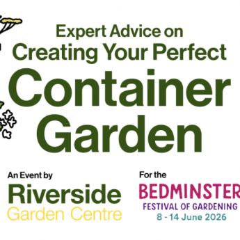 Riverside Talk: Creating Your Perfect Container