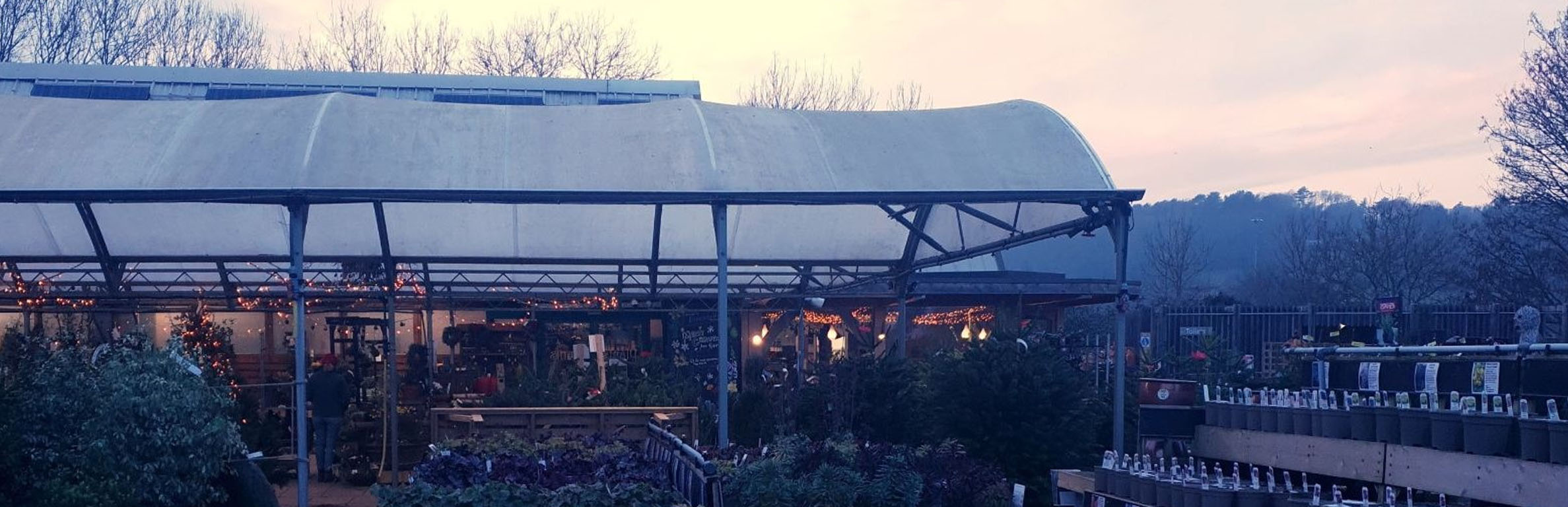 Christmas Opening Hours