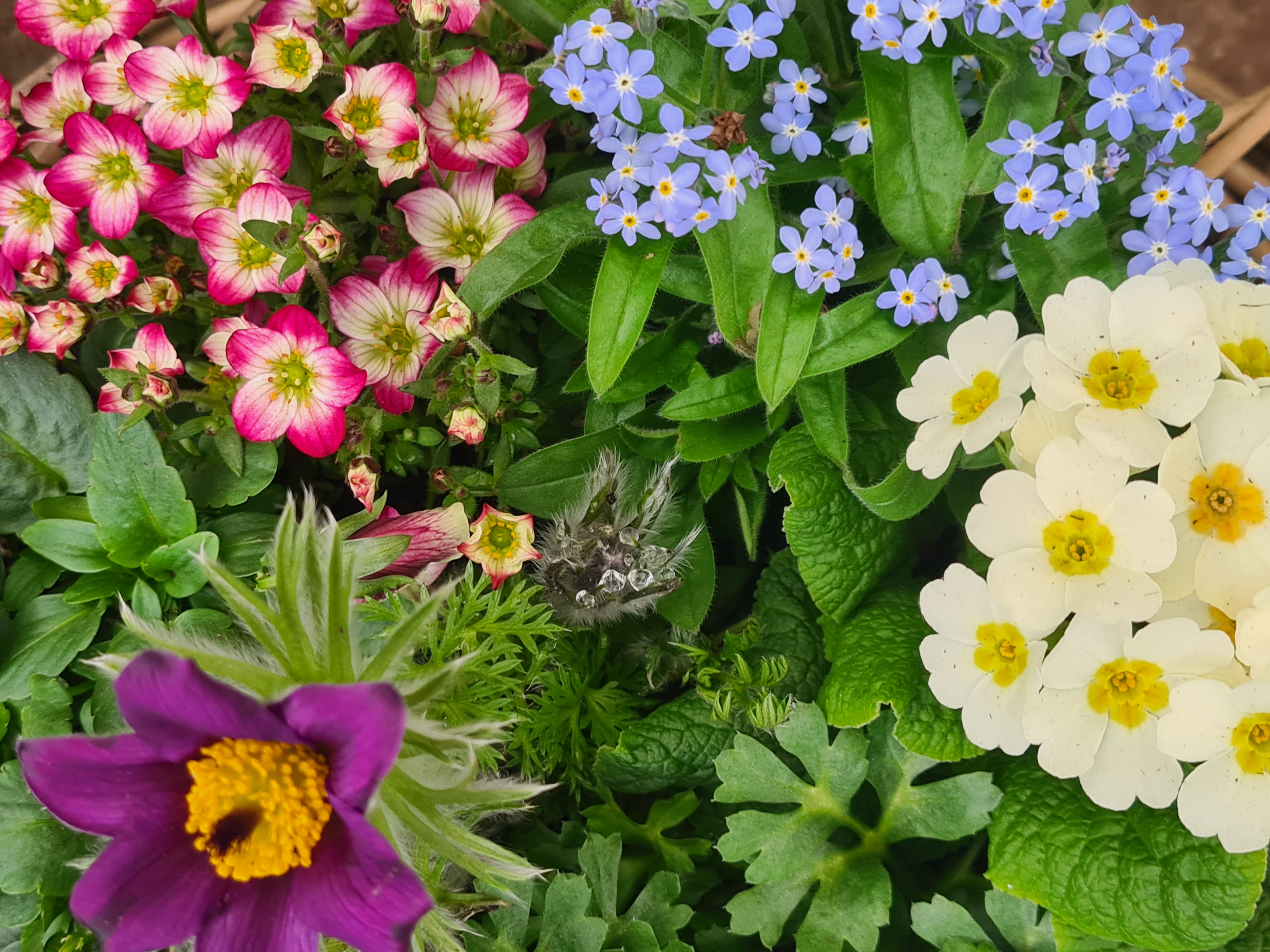 Riverside Talk: Creating Your Perfect Container