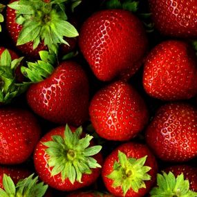 Strawberry 'Cambridge Favourite'
